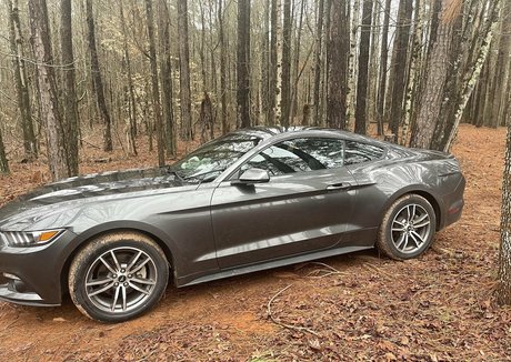 skarlett ivy étoile érotique collection