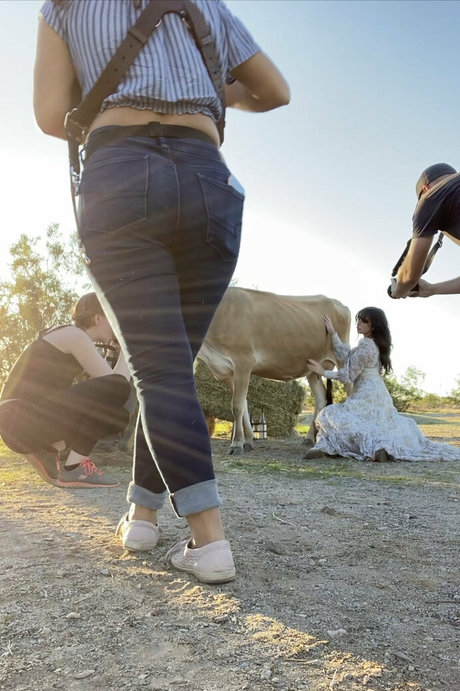 Reedsuicide star pornographique galerie