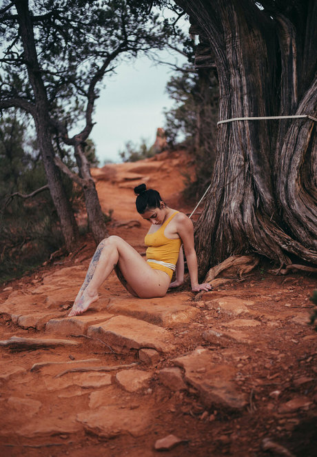 Reedsuicide top star images