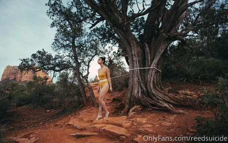 Reedsuicide haut de star du porno img