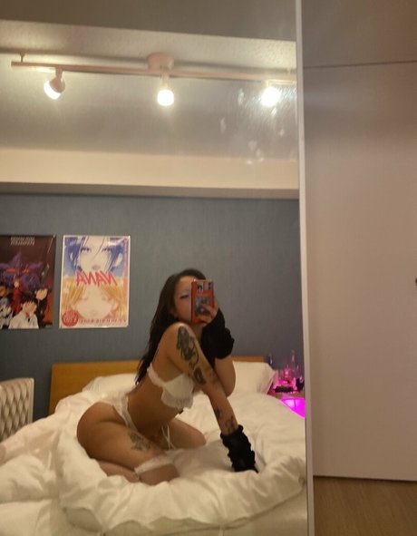 yacchi nus étoiles galerie