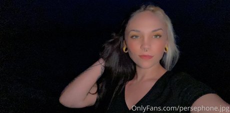 chaton potelé uniquementfans art sympa galeries