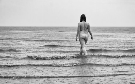 Cinnoman star du porno gratuite collection