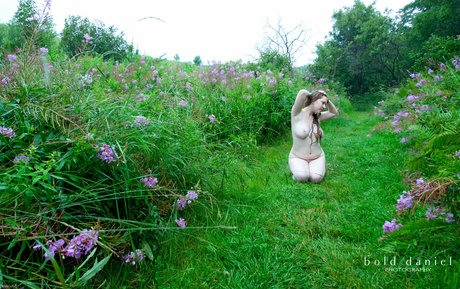 Cinnoman haut étoile galeries