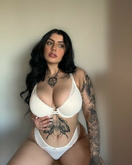 diannav meilleur modèle galeries