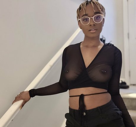 chaton potelé uniquementfans jolie et gratuite photo