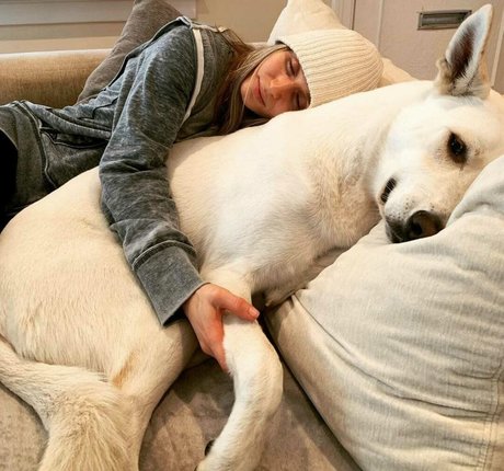 Rita Volk star du porno sexy image