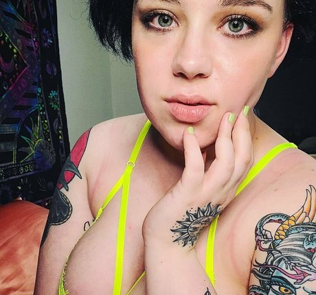 chaton potelé uniquementfans parfait chaud galeries