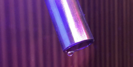 clubstarfall actrice parfaite des photos