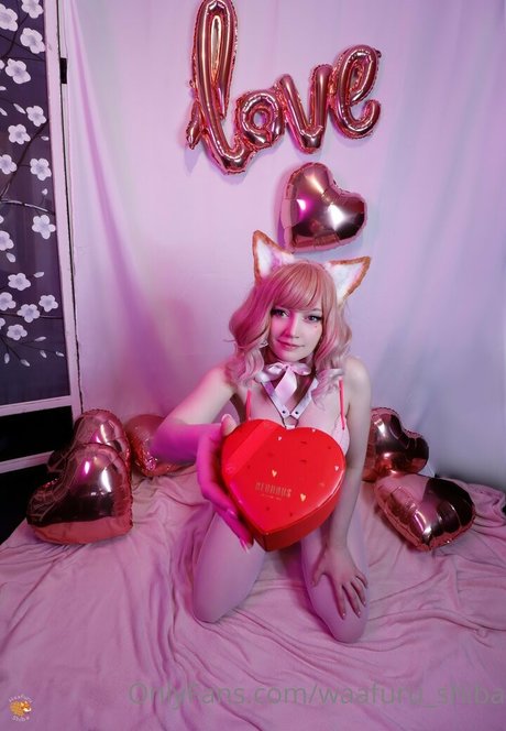 waafuru shiba modèle meilleur photos