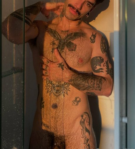 fill1 étoile magnifique archive