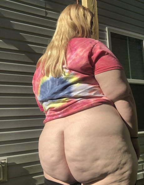 chaton courbé onlyfans nus exclusifs image