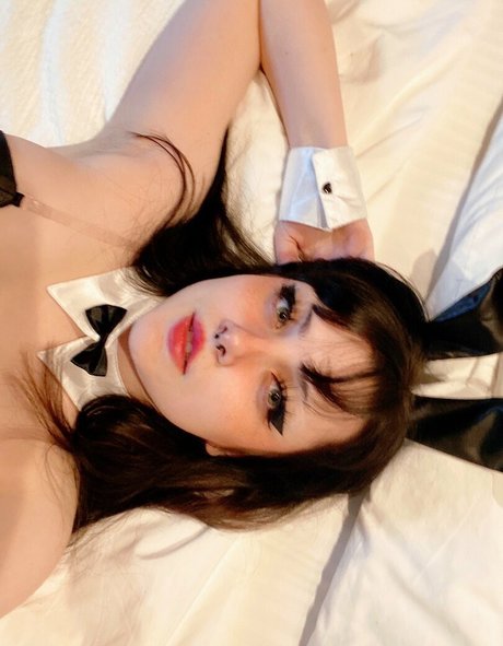 elliechii étoile magnifique images