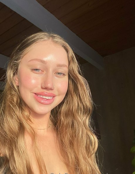 Mslunarose étoile de haute qualité image