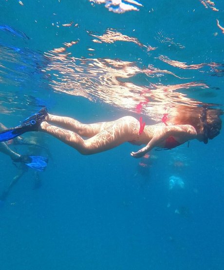 Brec Bassinger sexe star du porno img