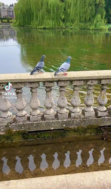 Brec Bassinger meilleure actrice archive