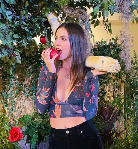 soirée orgie uniquement pour les fans nus sexy photo