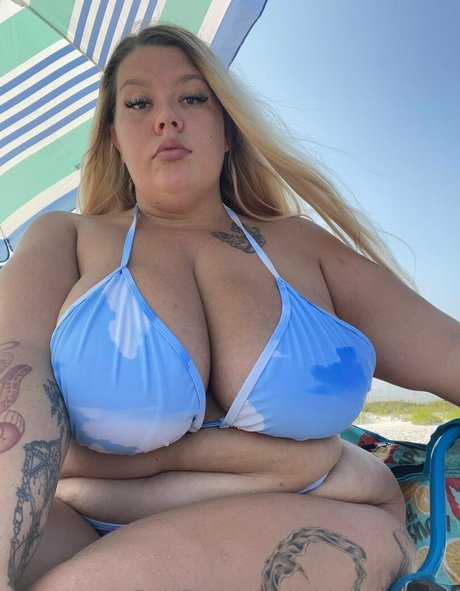 fans asiatiques potelés uniquement art de haute qualité galeries