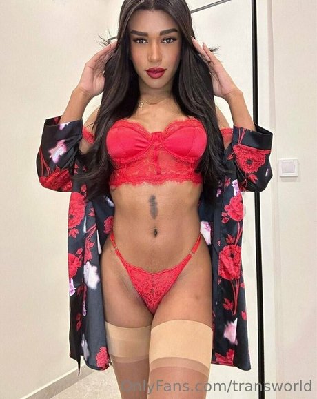 transworld modèle exclusif galerie