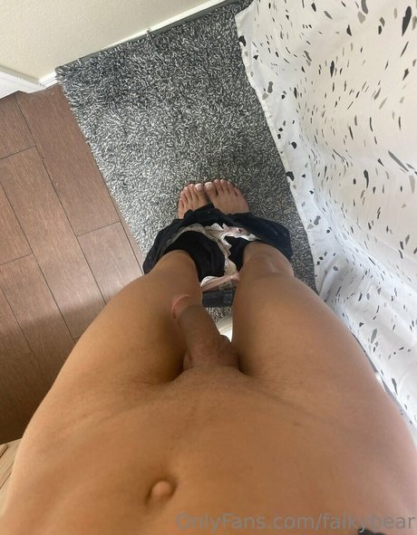 falkybear haut étoile photo