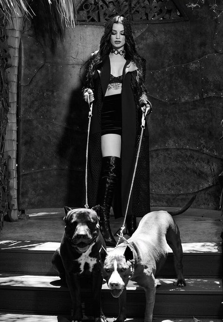 Saraya Bevis art star du porno archive