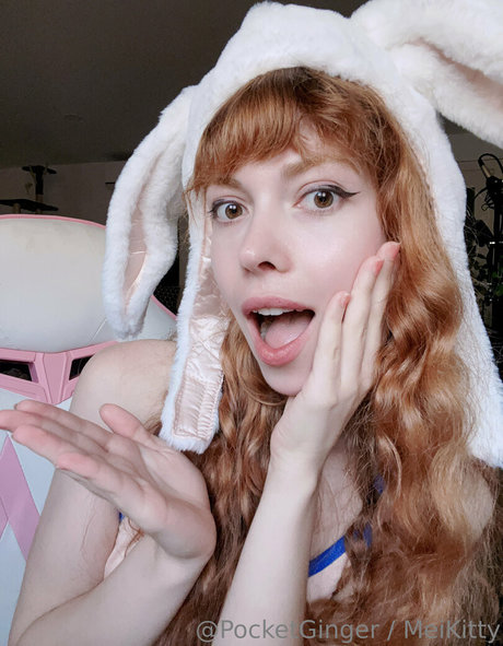 pocketginger haut modèle img