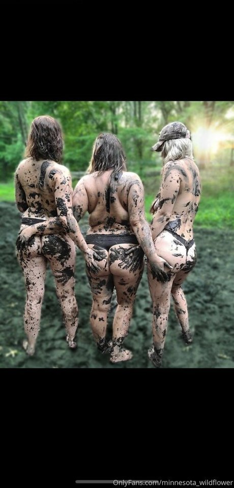 minnesota wildflower star du porno belle image