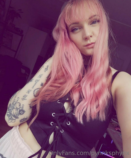 pynnksphynx modèle meilleur img