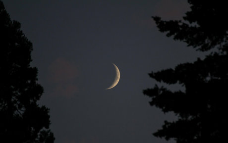 alignedbykarissa modèle artistique img