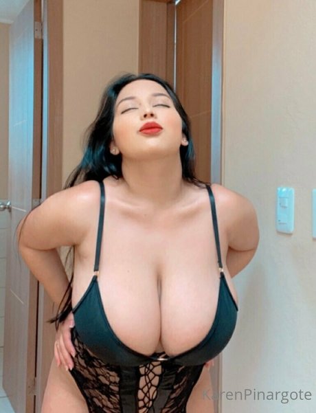 Karen Pinargote Torres modèle meilleur image