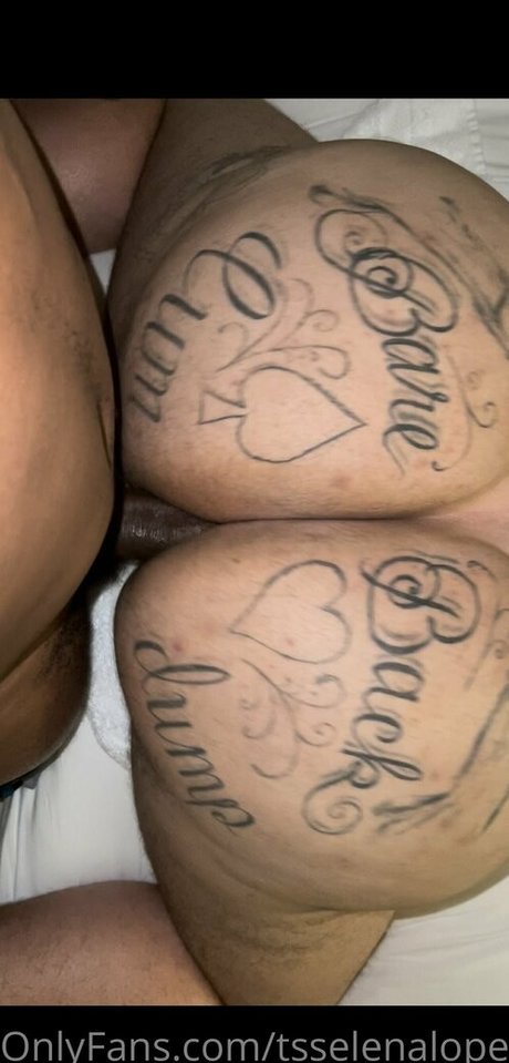 tsselenalopezxx haut de star du porno archive