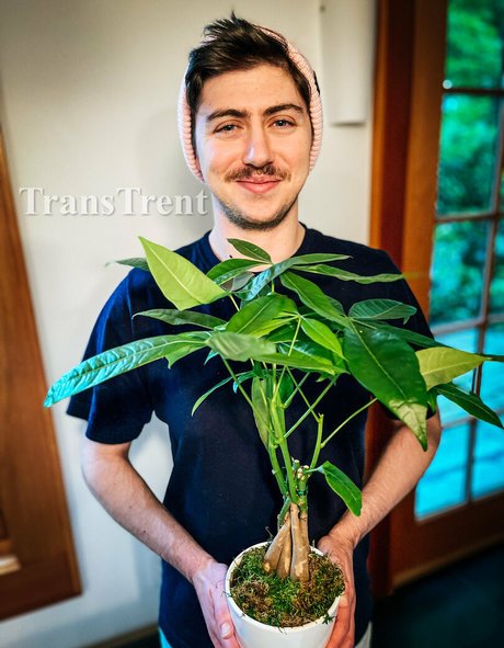 transtrentfree étoile de l'art archive