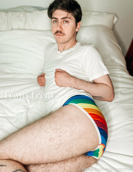 transtrentfree étoile adulte img