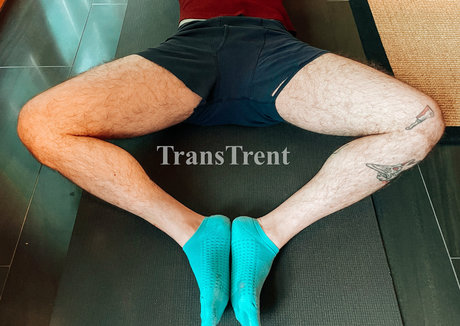 transtrentfree meilleur modèle image