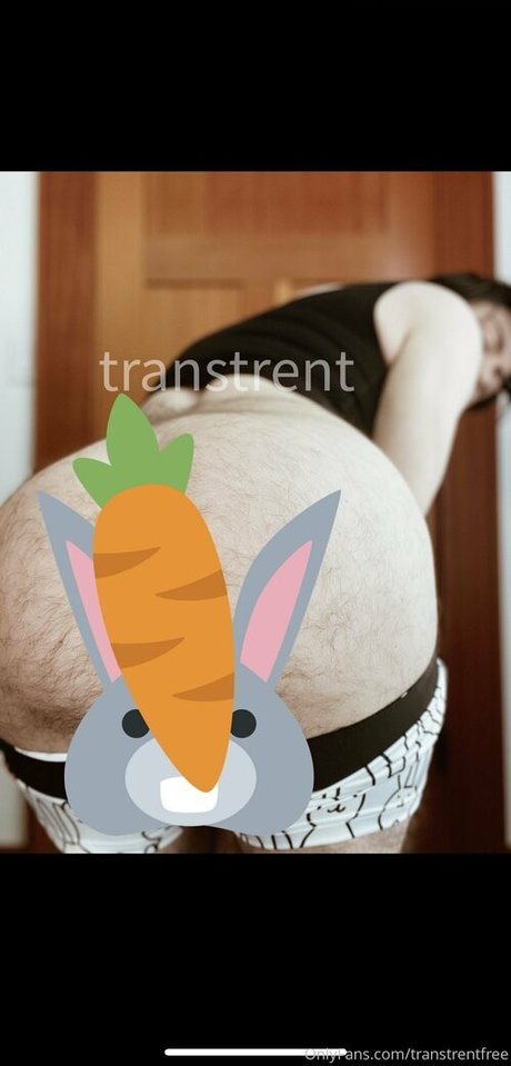 transtrentfree nus étoiles galerie