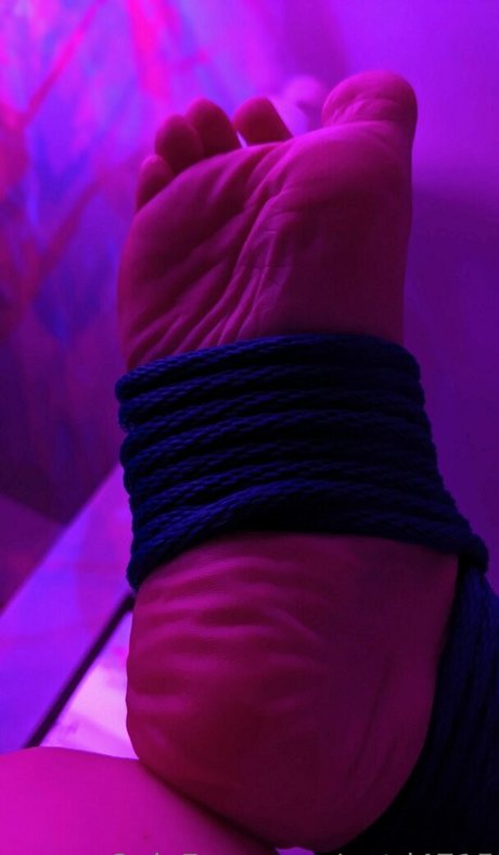 tashad4715 actrice pornographique collection