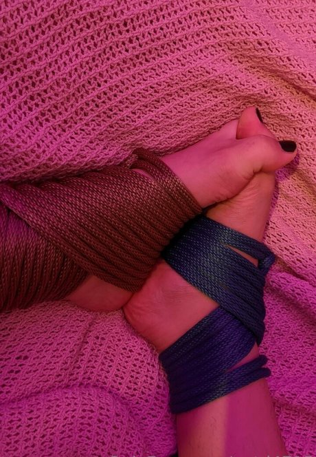 tashad4715 actrice pornographique collection