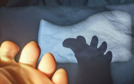 tashad4715 star du porno chaude galeries