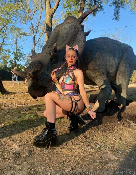 courtneyheartxo nus étoiles images