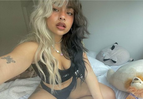 kwenbby étoile exclusive galerie