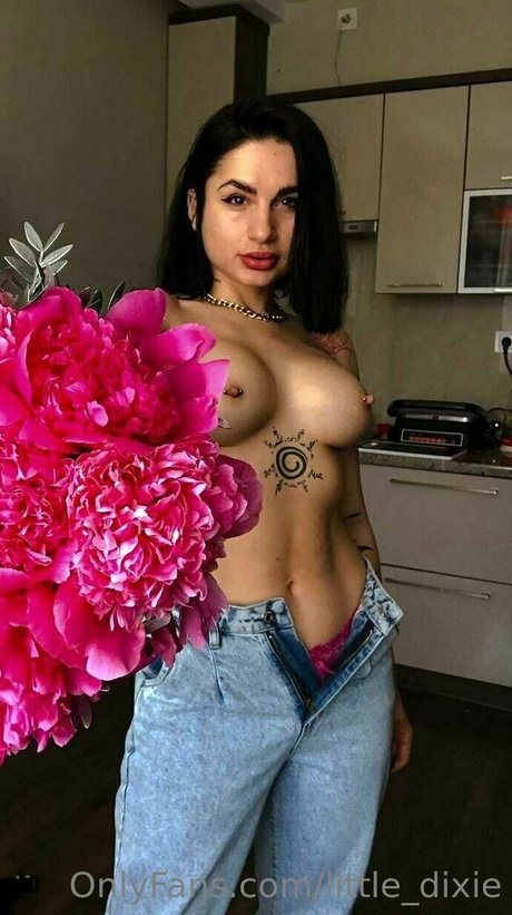 little dixie haut modèle galeries