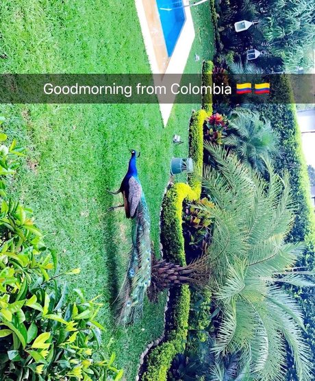 pieds de grand-mère uniquementfans haut nu img