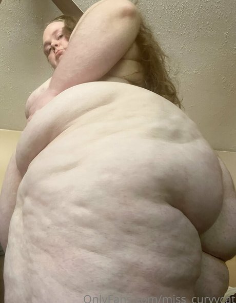 miss curvycat haut étoile des photos