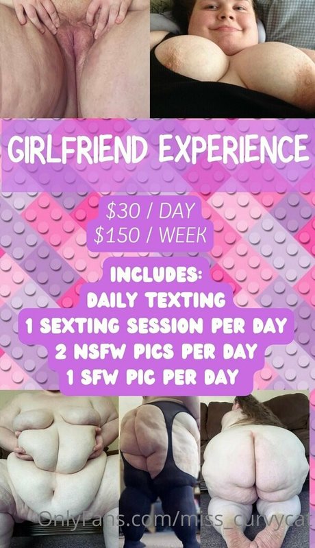 miss curvycat modèle hd collection