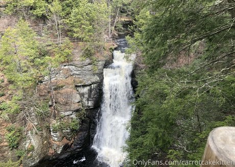 Carrotcakekitten mannequin galeries