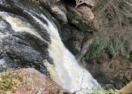 fellation publique onlyfans gratuit de haute qualité collection