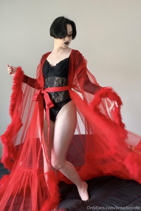 Breadboodle jolie étoile image