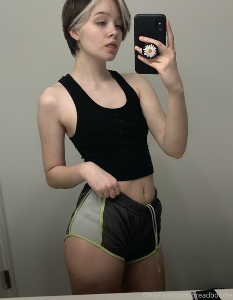 Breadboodle étoile hd image