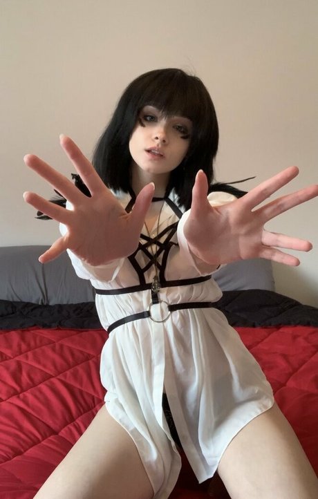 Breadboodle modèle parfait des photos