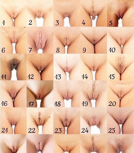 chaton courbé onlyfans parfait meilleur galeries